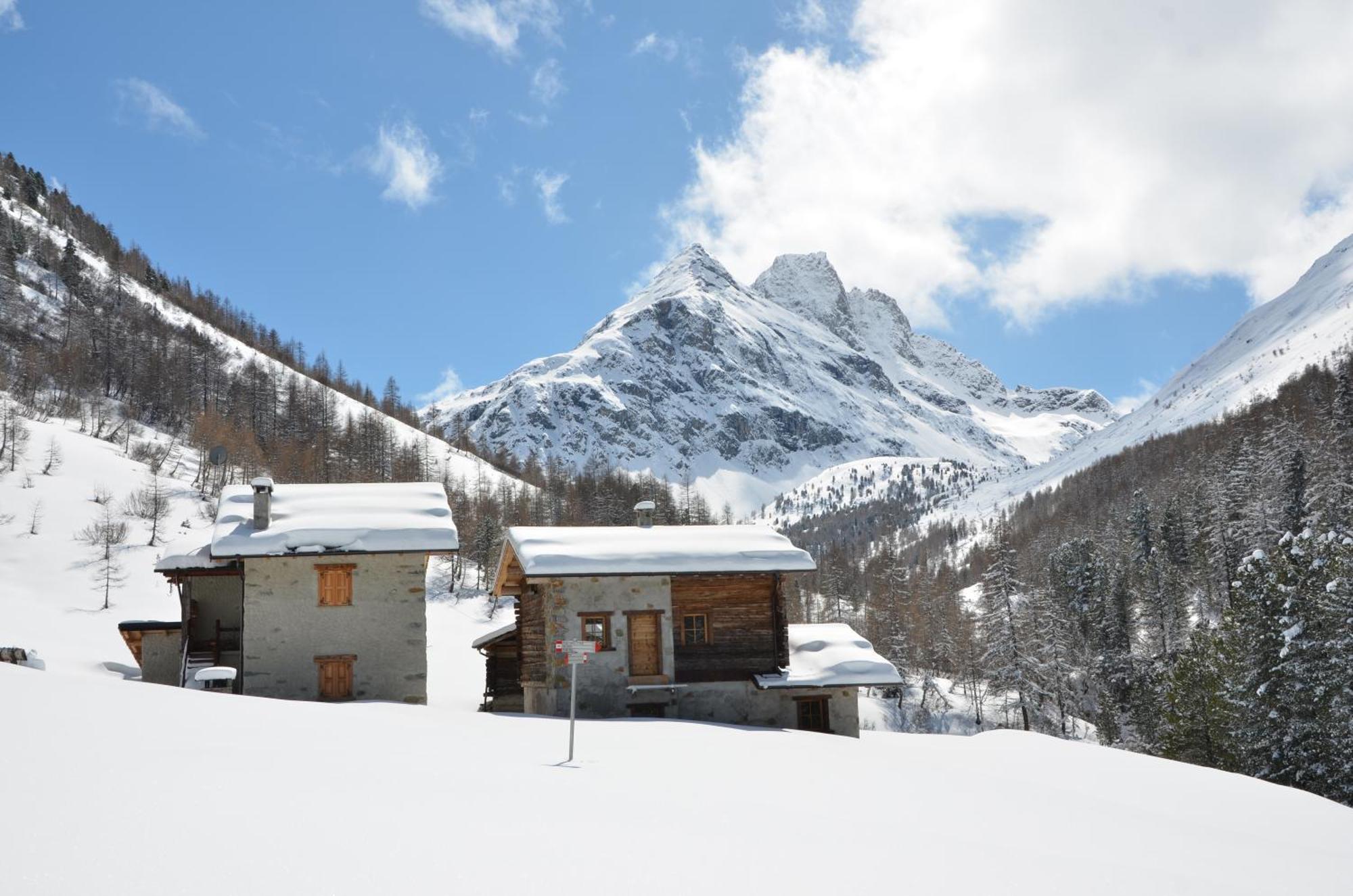 Hotel Meublè Rosalpina à Isolaccia Extérieur photo