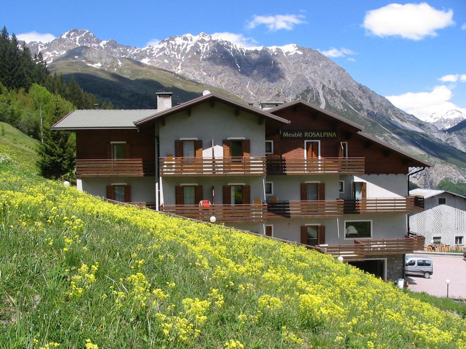 Hotel Meublè Rosalpina à Isolaccia Extérieur photo
